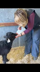 Definitely one of the funniest...