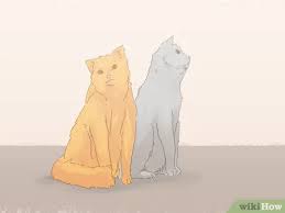 Sie sind zuckersüße katzen, sehr anhänglich und schmusebedürftig. Vermeiden Dass Deine Katze Auf Den Teppich Uriniert Wikihow