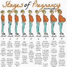 Pin On Pregnancy