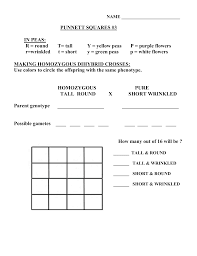 Best dihybrid cross worksheet lovely learn how to make a punnett from dihybrid cross worksheet answers , source: Trihybrid Cross Problems Pdf Trihybrid Cross Pdf