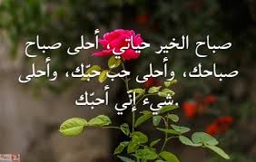 صور صباح الحب والاشتياق صباح الحب والشوق صباح الحب حبيبتي Zina Blog Plants Save