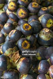 Image result for Borassus