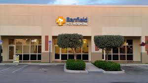 Find a banfield pet hospital near you. Banfield Pet Hospital Near Me Pet S Gallery