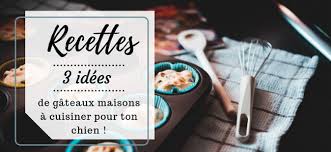 Top 3 Des Recettes De Gateau Cupcake Qui Ont Du Chien