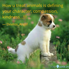 These animal ambassadors spread the message that they deserve our compassion and respect, and help educate farm visitors around issues related to animal welfare, factory farming, and sustainability. Treat Animals With Respect Quotes How U Treat Animals Is De Quotes Writings By Sejal D Dogtrainingobedienceschool Com