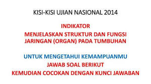 Fungsi kalsium hidroksida yaitu bisa untuk perawatan gigi vital dan juga non vital yang berfungsi untuk merangsang pertumbuhan akar pda gigi. Fotosintesis Pada Tumbuhan Ppt Download