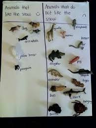 Snow Or No Winter Animal Graphing Winter Theme Preschool Winter Preschool Polar Animals Preschool