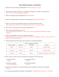 Macromolecule Expert Sheets