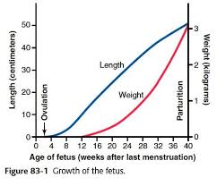 Noun  c  uk. Phys 83 Fetal And Neonatal Physiology Flashcards Quizlet