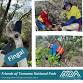 FINGAL BUSHCARE — Friends of Tomaree NP event image