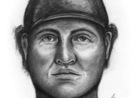 hendersonvillestandard 2016-08-07