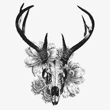 Creative Black And White Deer Skull Png And Psd Deer Skull Tattoos Antler Tattoos Stag Tattoo