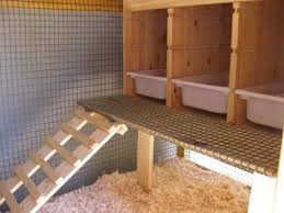 Ikea Coop Make Chickens Backyard Chicken Coop Best Chicken Coop