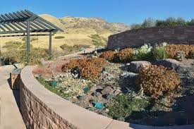 Visit your local salt lake city petsmart store for essential pet supplies like food, treats and more from top brands. November 2020 News Center For Plant Conservation