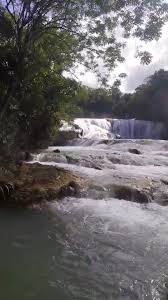 Image result for tbn:xX3UNS9Jgye8JM::www.hoteleseconomicosmexico.com/fotos/chiapas/agua-azul/cascadas-de-agua-azul-chiapas.jpg