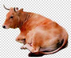 Whereas, the png include such as eid png, ramzan photo concept, birds png, shadow png and among others. Animal Cartoon Clipart Milk Goat Transparent Clip Art