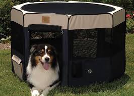 Portable playpens offer safety and security to your pet in any environment. What Is The Best Portable Dog Playpen In 2021 Camp Addict