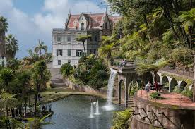 Things to do near botanical garden (botanischer garten). Madeira Botanischer Garten Foto Bild Europe Portugal Madeira Bilder Auf Fotocommunity