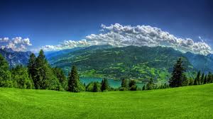 If you have one of your own you'd like to share, send it to us and we'll be happy to include it on our website. Scenery Desktop Backgrounds Wallpaper Cave