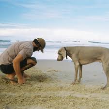 Yesterday a stranger took a minute to tell me she followed me online and  loved my writing. It felt really nice and was a timely reminder to do more  of the thing