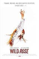 Image result for Wild Rose 1999 Tiburon