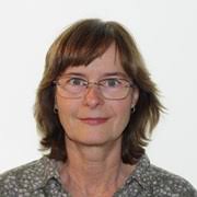 Human-Computer Interaction (HCI)