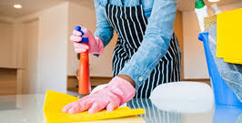 List of best pest control services in dubai of 2021. Pest Control Service For Aed 99 At Intrepid Pest Control Service