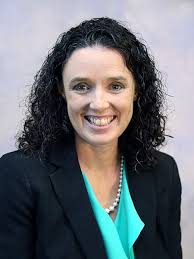 Teaching Disciplinary Literacy in Grades K-6: Lupo, Sarah M., Hardigree,  Christine, Thacker, Emma S., Sawyer, Amanda G., Merritt, Joi D.:  9780367485566: Amazon.com: Books