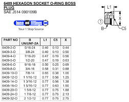 6409 male boss socket head plug