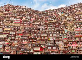 SICHUAN, CHINA: IS THIS the most densely packed student village in the  world? Dizzying images of thousands of log cabins piled high along  hillsides and down valley are actually student accommodation. Stretching