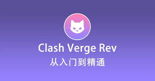 最新Clash Verge Rev 使用教程快速入门篇- Clash verge rev