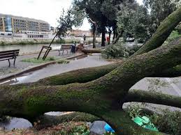 Jul 08, 2021 · villafranca, violentissima grandinata nel pomeriggio. Video Forte Grandinata E Allagamenti A Verona La Provincia