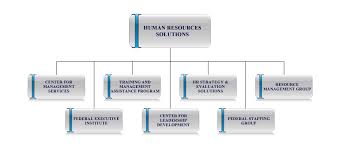 Hr Structure Chart Www Bedowntowndaytona Com