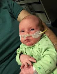 The Biggest Mannion Family Tree