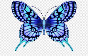 Described measurements of the tattoo may v Butterfly Tattoo Large Blue Color Supernatural Blue Butterfly Purple Blue Painted Png Pngwing