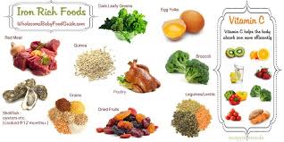 Iron And Iron Rich Baby Foods What Iron Rich Foods Can Baby Eat Wholesome Baby Food Guide