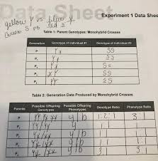 This is a really fun worksheet to use with your students who are learning how to work genetics problems. 31 Can You Correctly Label The Genotypes And Phenotypes In This Punnett Square Of A Monohybrid Cross Labels Database 2020