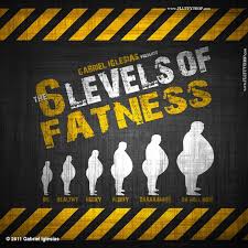 Gabriel Iglesias 6 Levels Of Fatness Blog