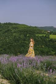 Lavender cottage lavender garden lavender fields lavender flowers purple flowers lavander roses garden lavender scent lavender blue. Angystearoom Lavender Fields In Italy Where To Find Them