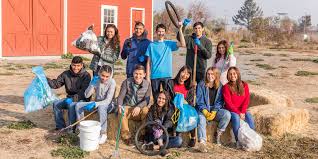 We did not find results for: 70 Community Service Project Ideas Dosomething Org