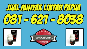 Hasil gambar untuk minyak lintah karawang
