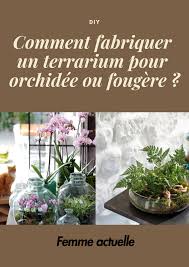 Comment Fabriquer Un Terrarium Pour Orchidee Ou Fougere Jardin Interieur Jardin Des Orchidees Orchidee