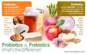 Probiotics vs. Prebiotics: What's the Difference and Best Sources