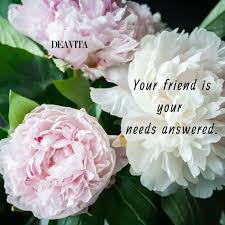 But in setting our aim too low, and achieving our mark. 60 Friendship Quotes With Great Photos To Share With Your Friends