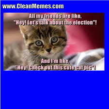 Cats are super cute and funny. Cat Memes Page 16 Clean Memes