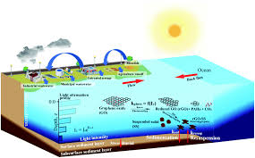 Our mothers are sisters, we used to play as kids, he said. Environmental Effects Of Stratospheric Ozone Depletion Uv Radiation And Interactions With Climate Change Unep Environmental Effects Assessment Panel Update 2019 Photochemical Photobiological Sciences Rsc Publishing