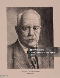 780 Sommerfeld Stock Photos, High-Res Pictures, and Images