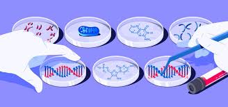 A trisomy is a disorder of the chromosomes. The Best Dna Test For Health In 2021 Dna Health Testing
