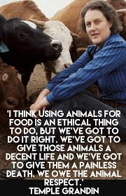 Food Animals Animal Science Temple Grandin Vets