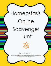 Homeostasis Online Scavenger Hunt Biology Classroom Teaching Biology Science Lessons